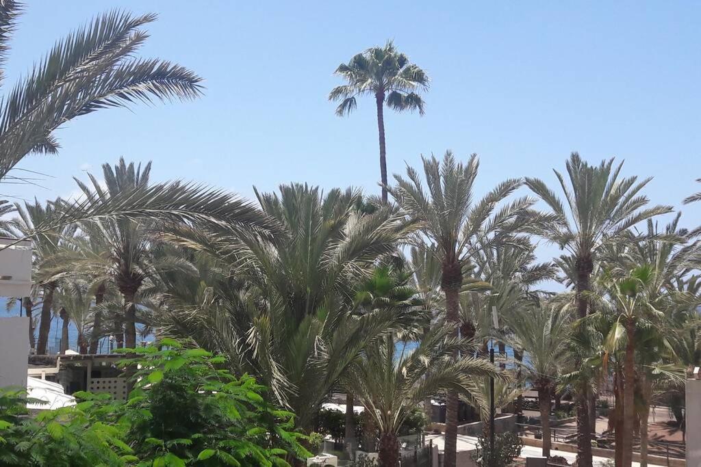Guayero, Bel Appartement A 50M De La Mer Los Cristianos  Exterior foto