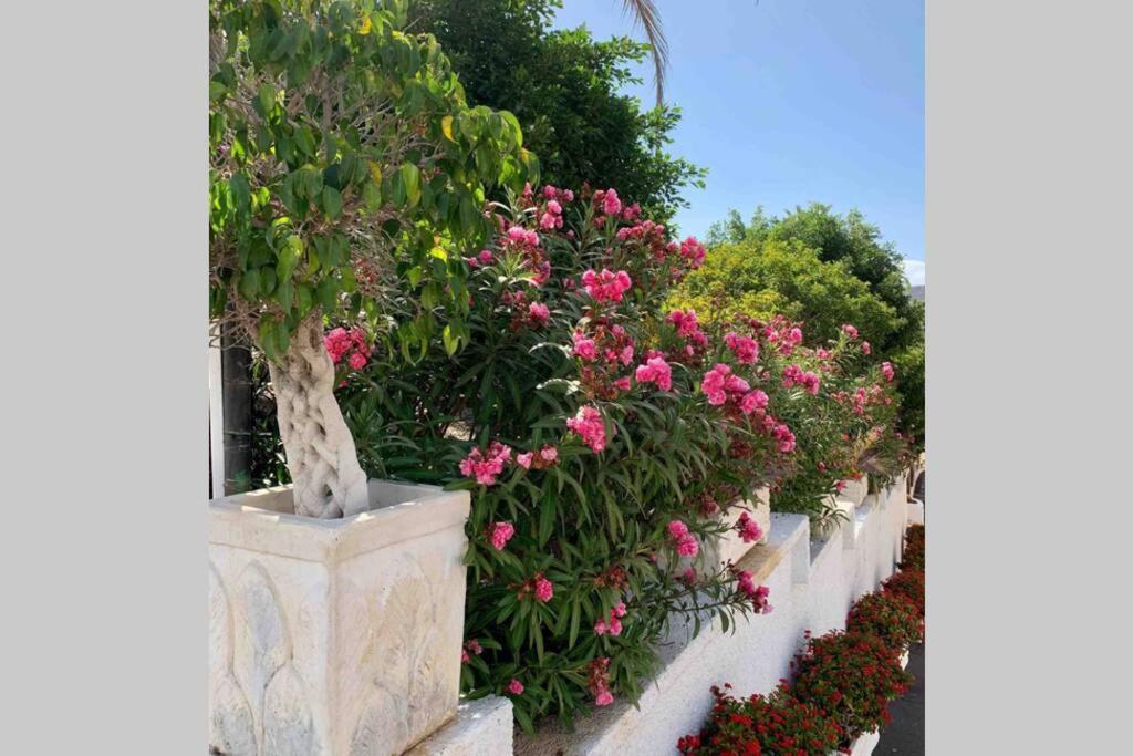 Guayero, Bel Appartement A 50M De La Mer Los Cristianos  Exterior foto